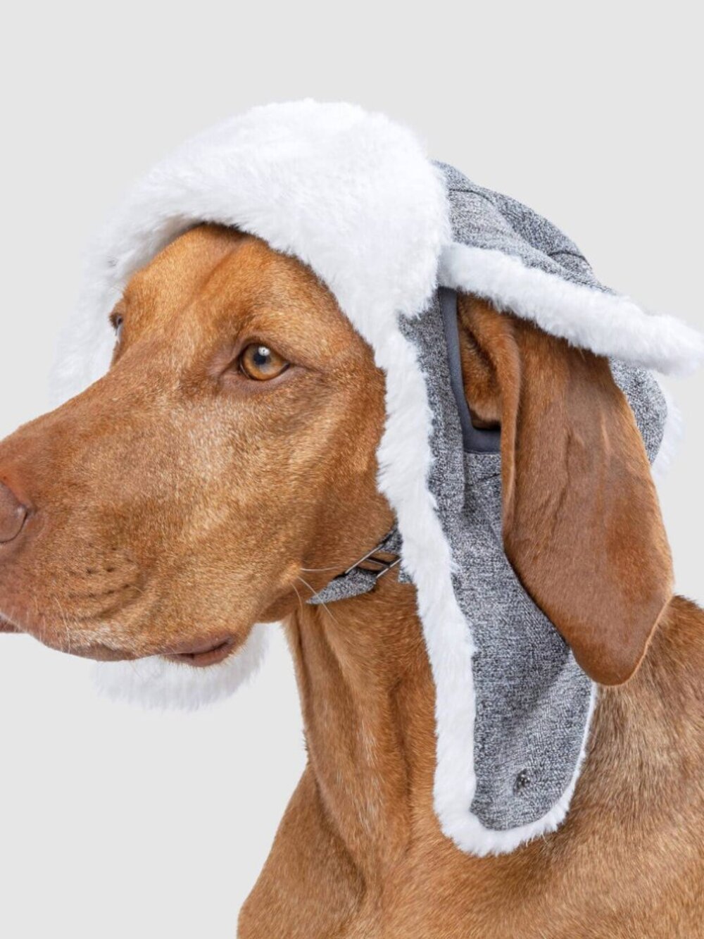 Canada Pooch Arctic Air Hat NWOT Sz XL Large Extra Large Dog